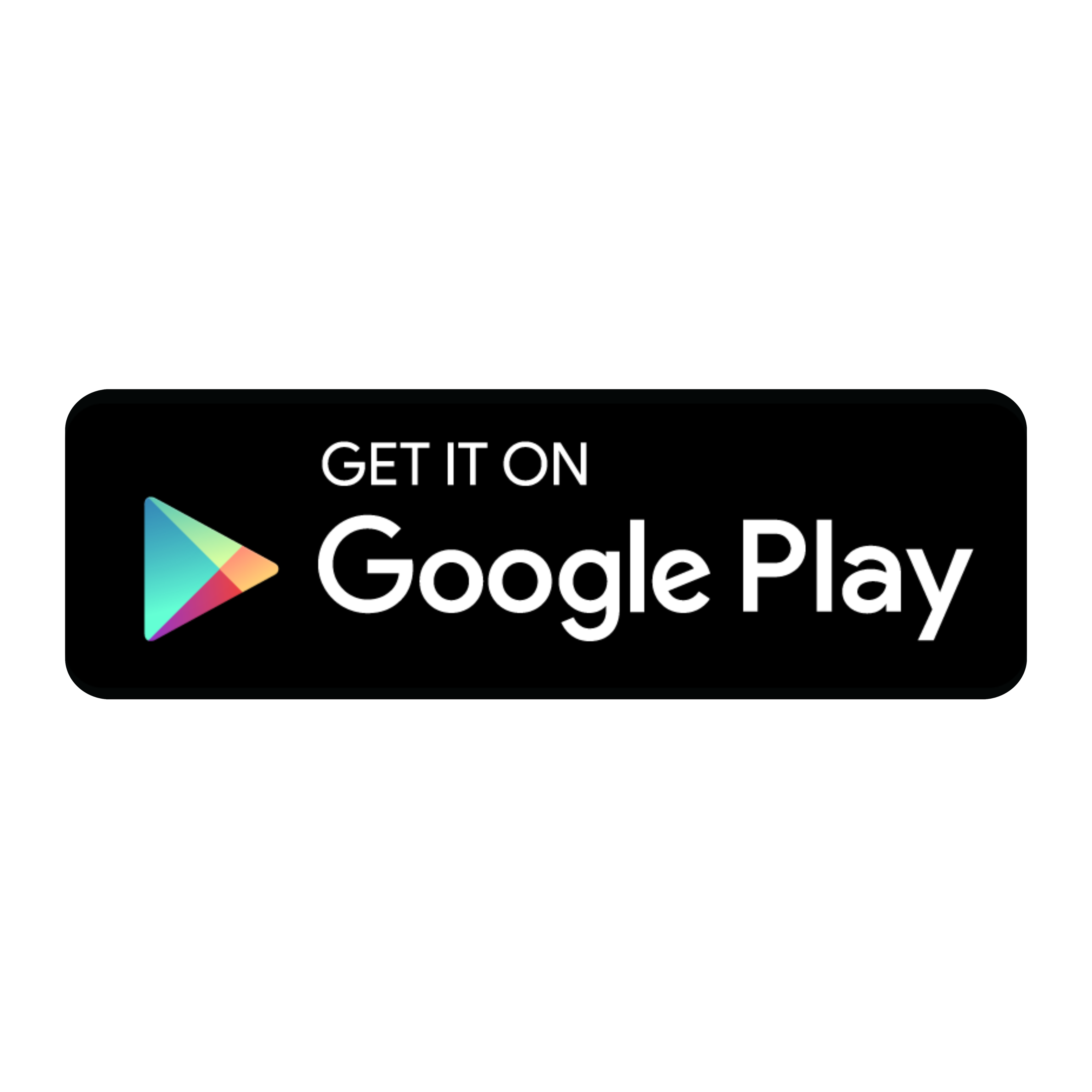 Google Play Store